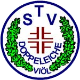 TSV DE Viöl